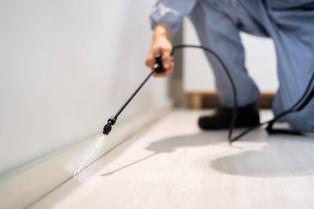 Licensed Termite Control service in Fair Lawn, NJ - Nex Pest Control