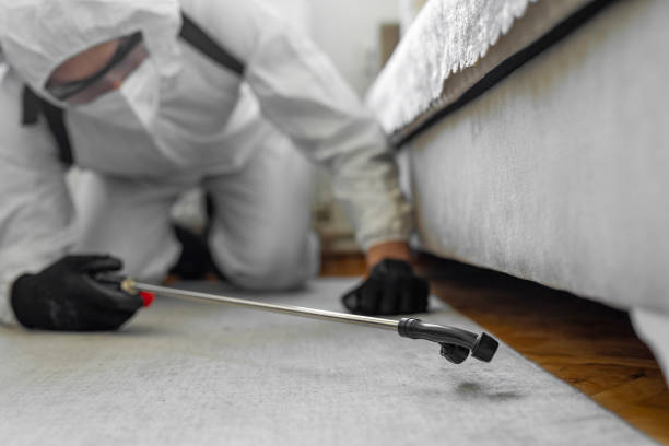 Professional Termite Control technician working in Fair Lawn, NJ