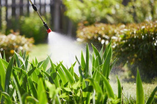 24/7 Emergency Termite Control experts in Fair Lawn, NJ