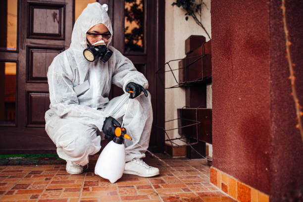 Reliable Termite Control contractor in Fair Lawn, NJ by Nex Pest Control