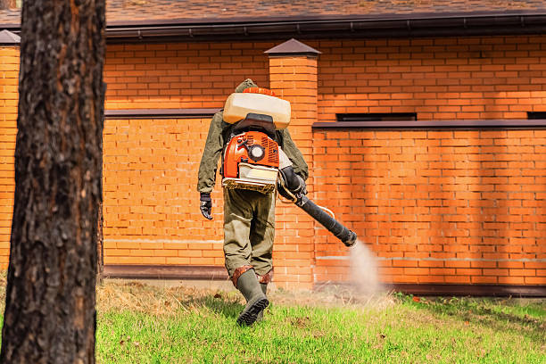 Trusted Termite Control service in Fair Lawn, NJ - Nex Pest Control